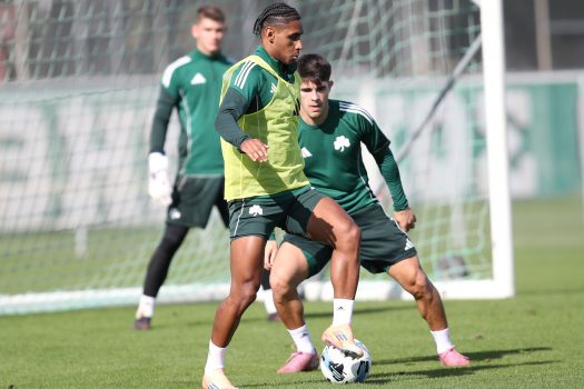 Παιχνίδι και τελειώματα | pao.gr