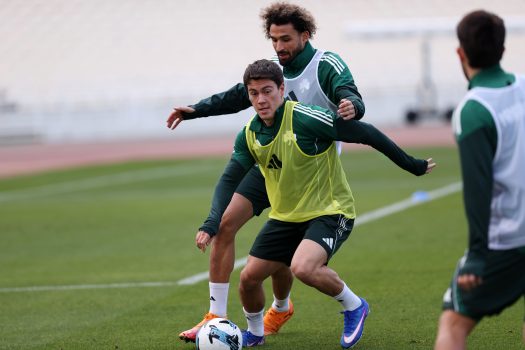 Παιχνίδι και πρόγραμμα στο γυμναστήριο | pao.gr