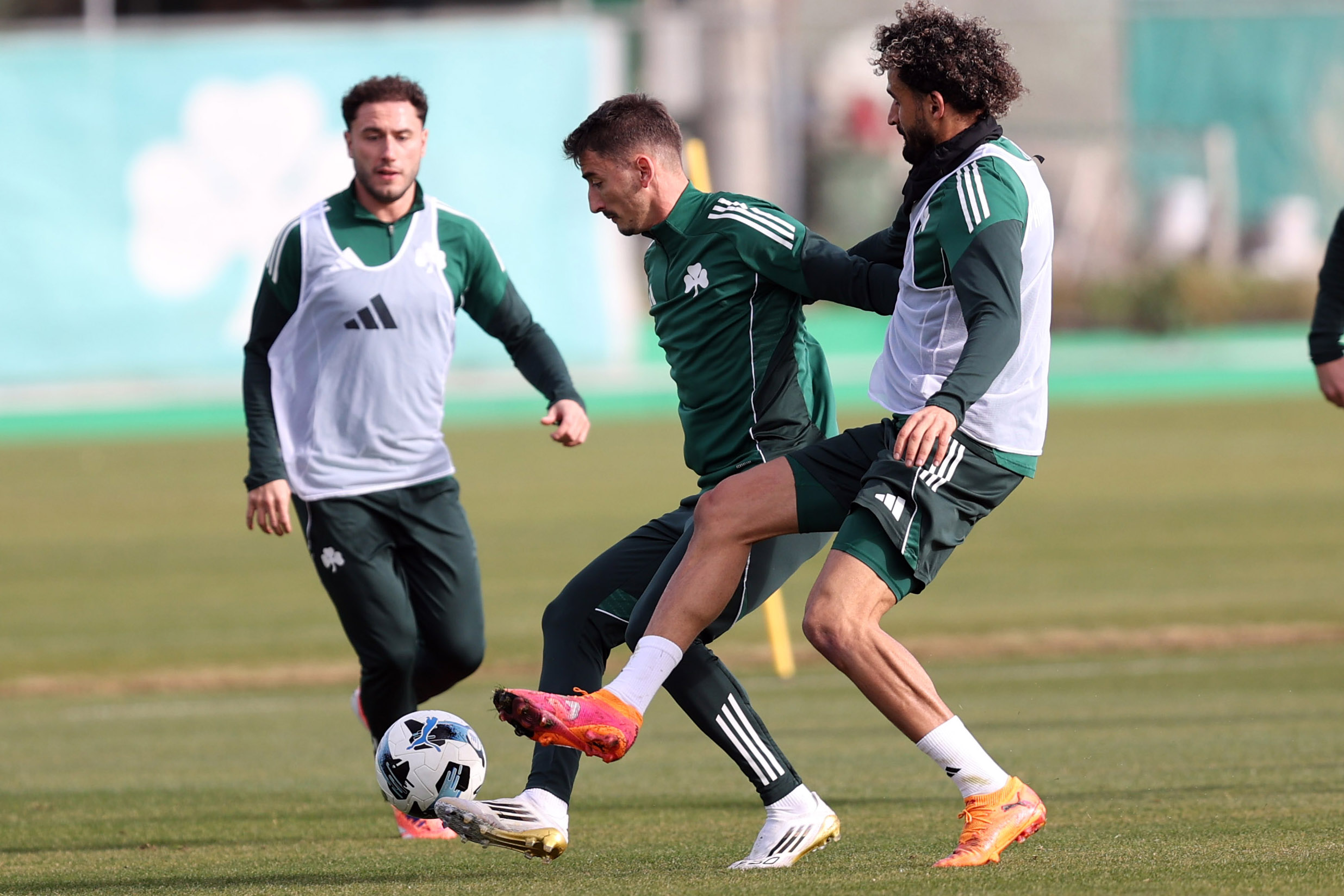 Τουρνουά τριών ομάδων | pao.gr