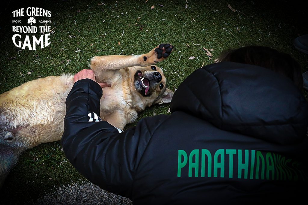 «The Greens beyond the game» | pao.gr «The Greens beyond the game» | pao.gr