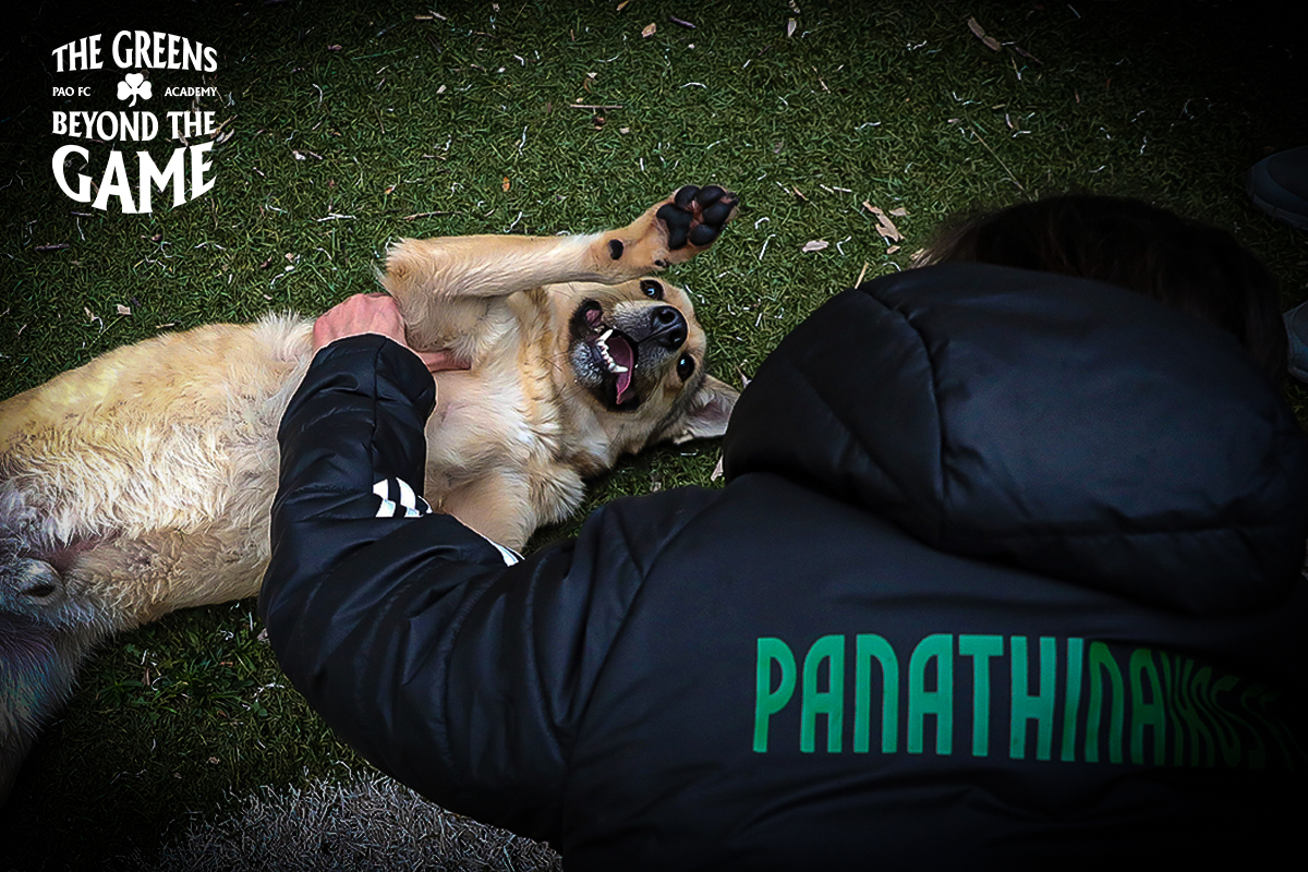 «The Greens beyond the game» | pao.gr