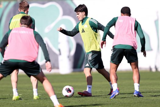 Προπόνηση σε δύο γκρουπ | pao.gr