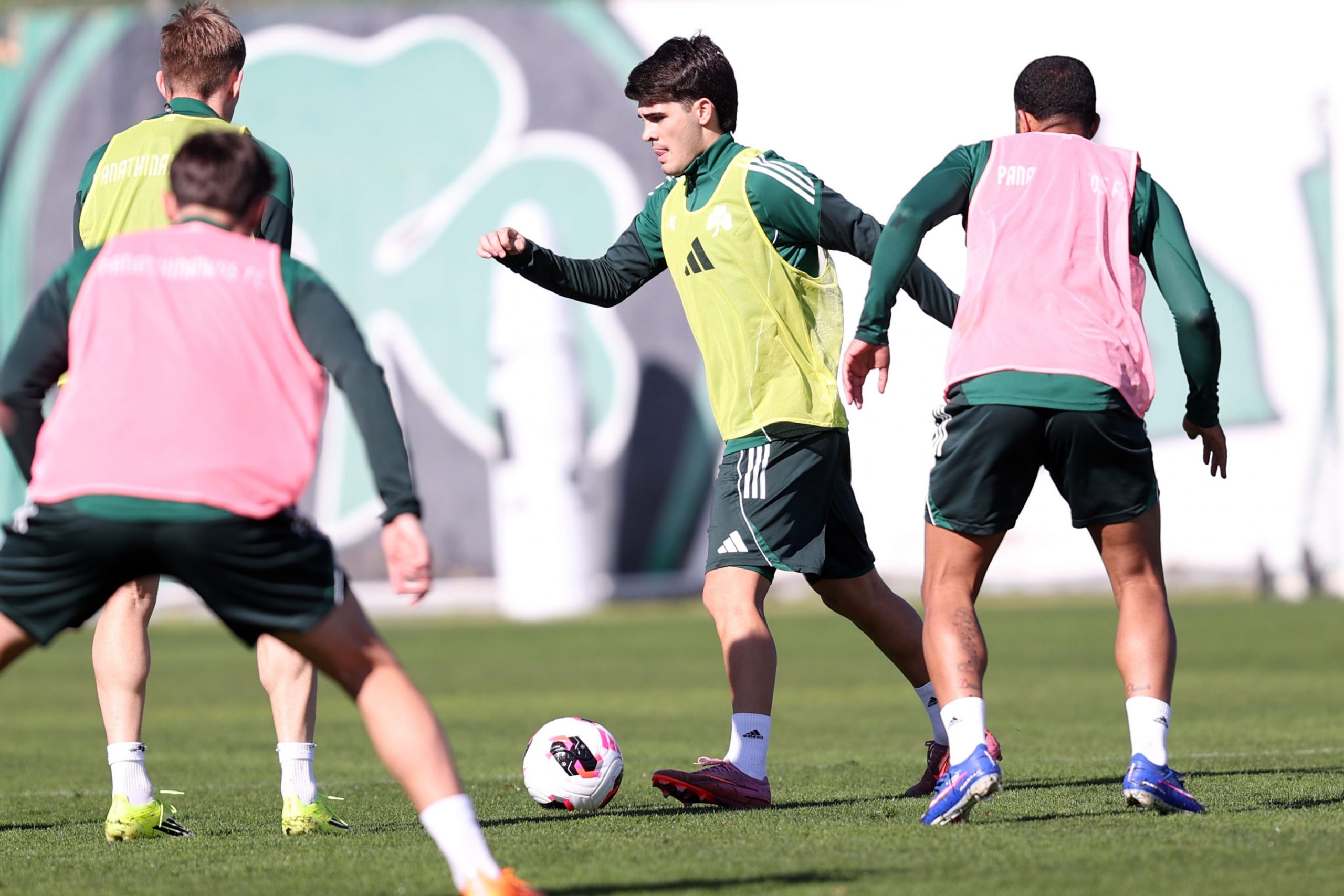 Προπόνηση σε δύο γκρουπ | pao.gr