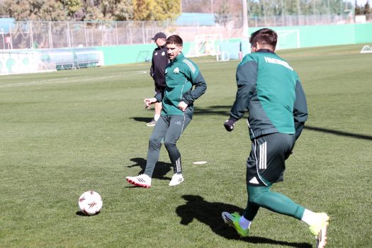 Κυκλοφορία μπάλας και τελειώματα | pao.gr