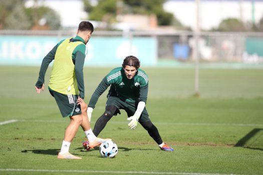 Τελειώματα και παιχνίδι | pao.gr