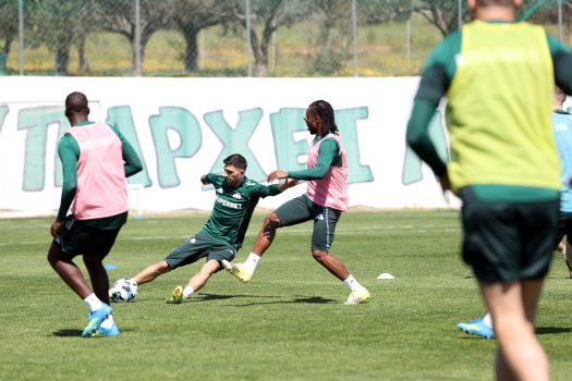 Τουρνουά τεσσάρων ομάδων | pao.gr