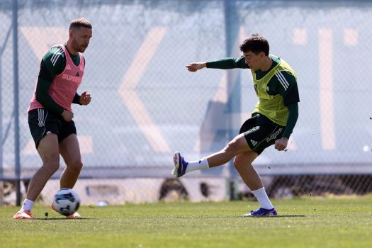 Κυκλοφορία της μπάλας και παιχνίδι | pao.gr