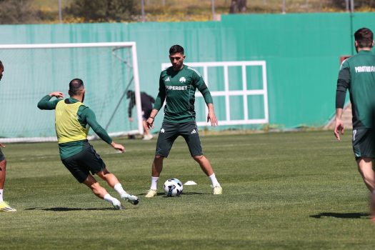 Κυκλοφορία μπάλας και παιχνίδι | pao.gr