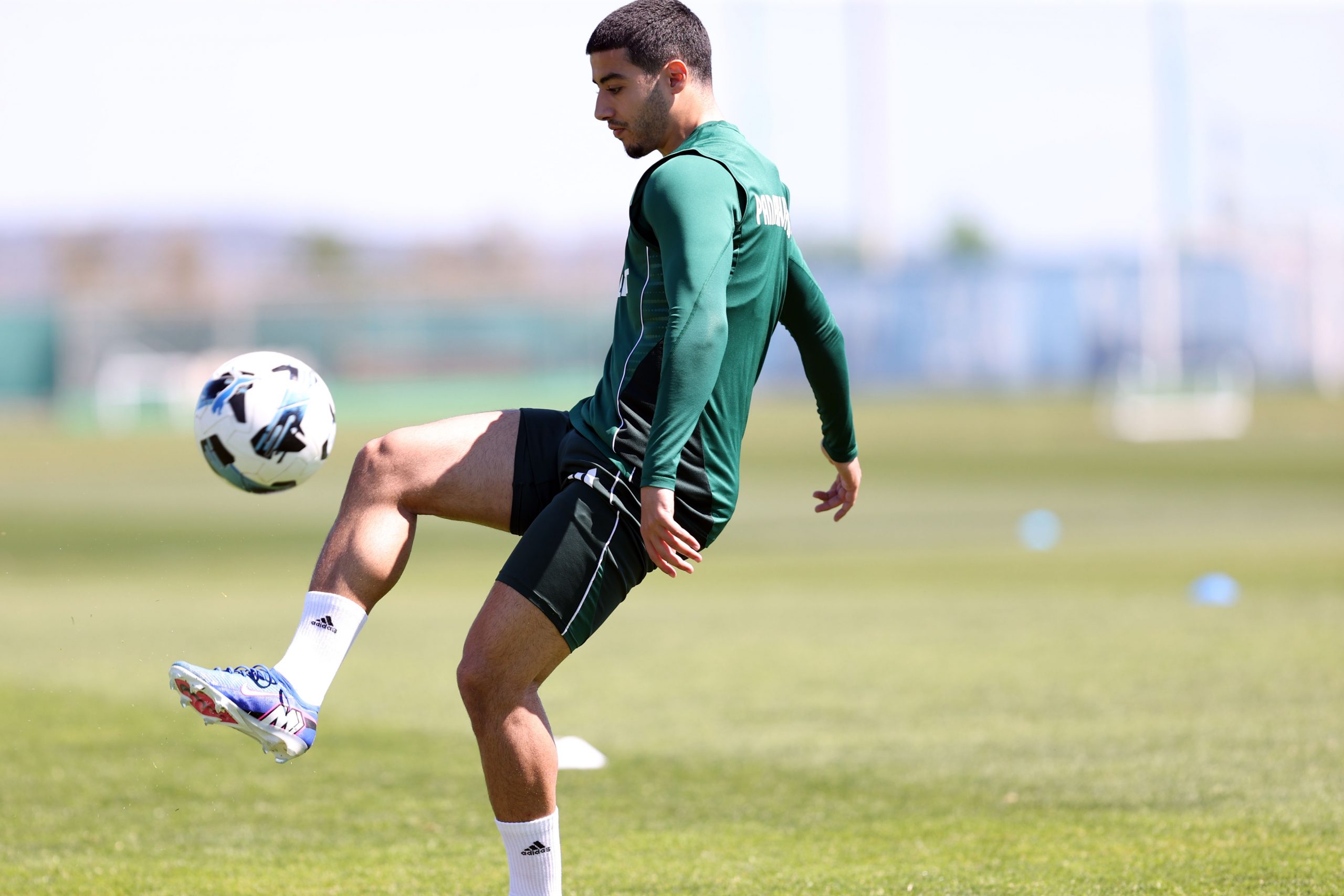 Επιστροφή στις προπονήσεις | pao.gr