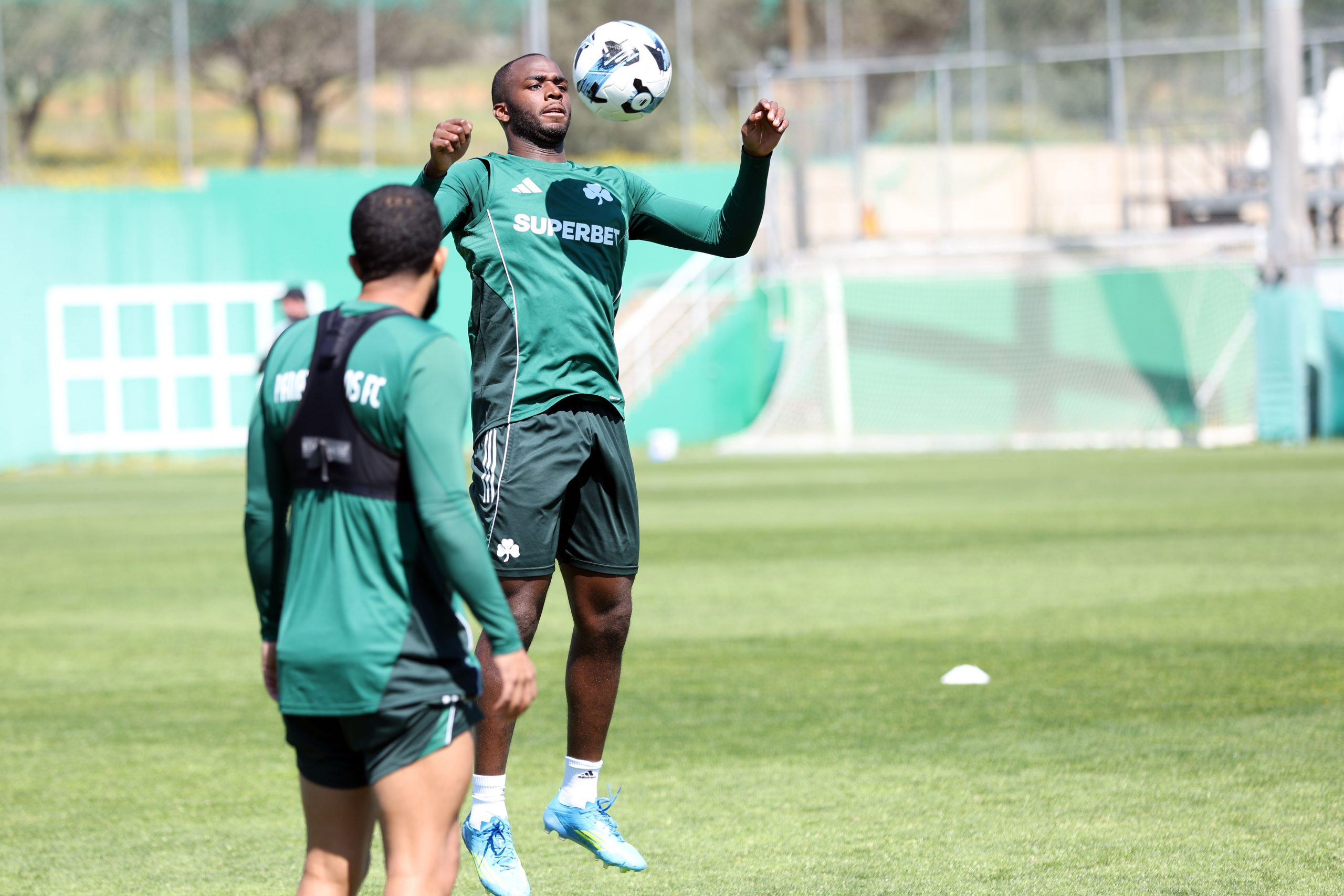 Το βάρος στην τακτική | pao.gr